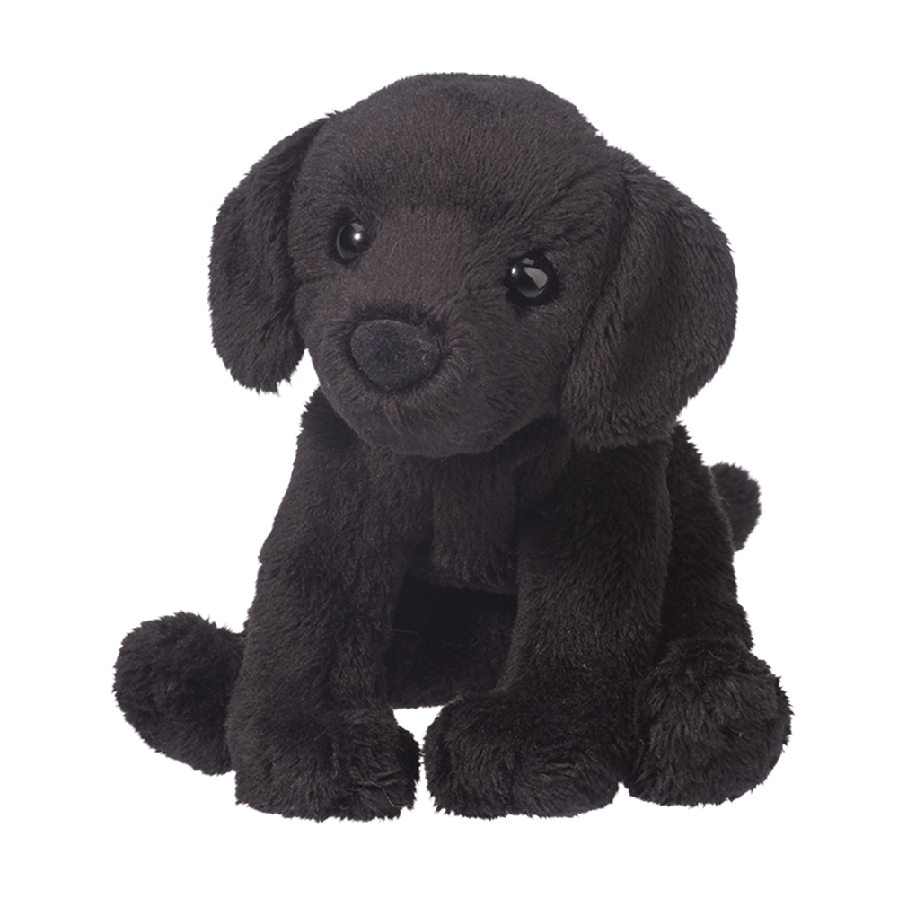 1556.jpg