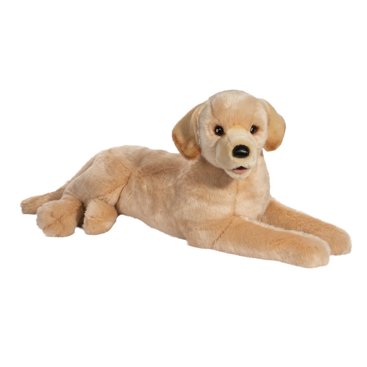2468.jpg